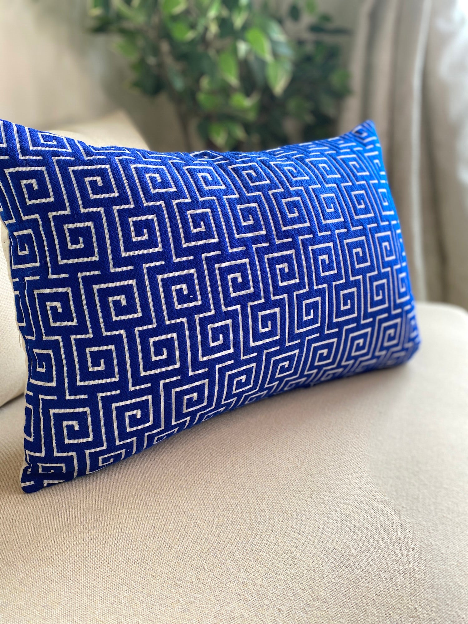 Bright best sale blue cushions